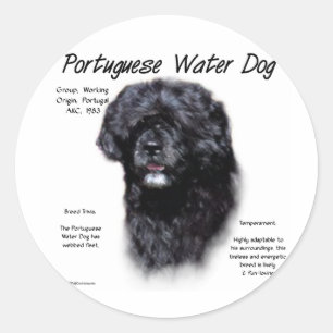 Portuguese Water Dog History Design Classic Round Sticker