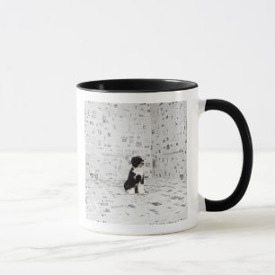 Portuguese Water Dog in room covered in Mug
