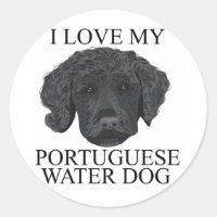 PORTUGUESE WATER DOG Love!