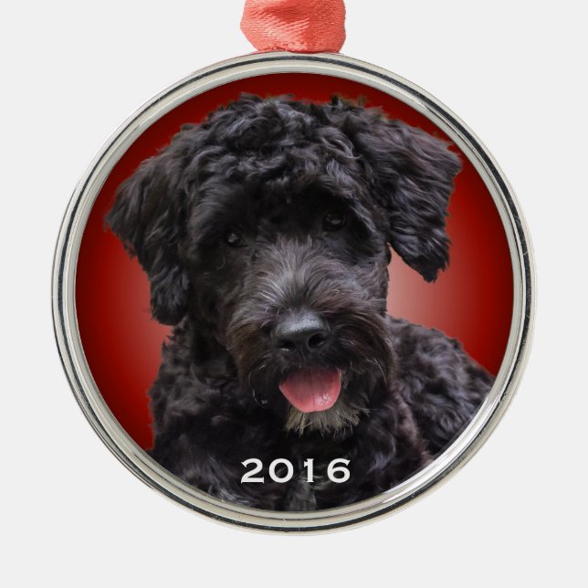 Portuguese Water Dog Ornament Red Radiant (Front)