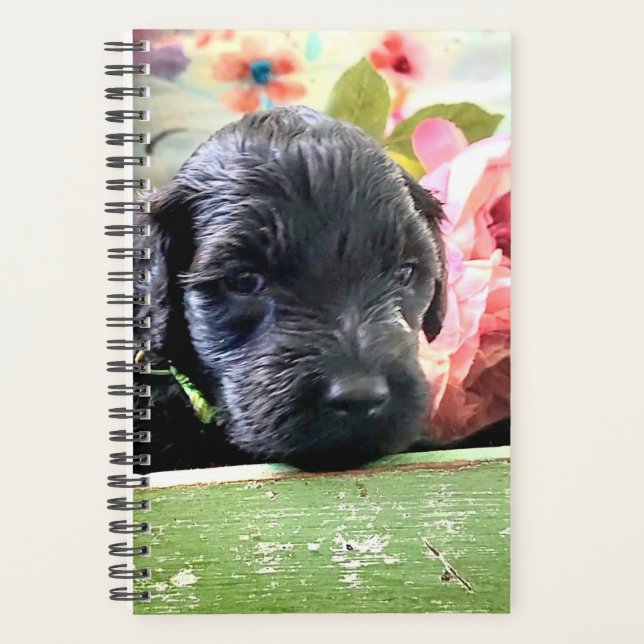 Portuguese Water Dog Planner Sweet (Front)