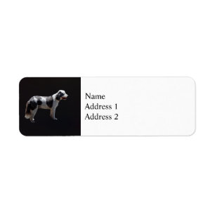 Portuguese Water Dog Return Address Label