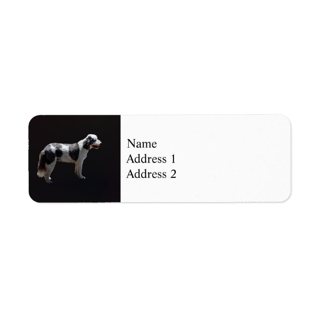 Portuguese Water Dog Return Address Label (Front)