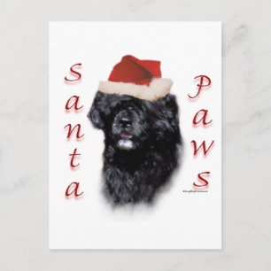 Portuguese Water Dog Santa Paws Holiday Postcard