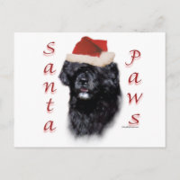 Portuguese Water Dog Santa Paws