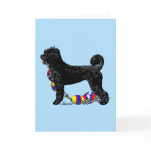 Portuguese Water Dog Standing with Float Line