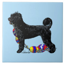 Portuguese Water Dog Standing with Float Line