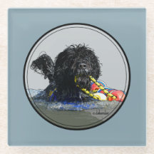 Portuguese Water Dog Swimming with Float Line