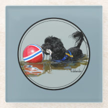 Portuguese Water Dog with Buoy Ball 2