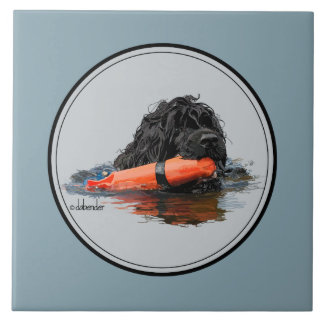 Portuguese Water Dog with Orange Bumper Tile