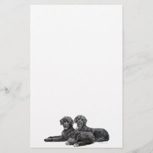 Portuguese Water Dogs Stationery