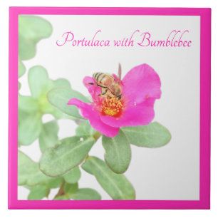 Portulaca with bumblebee on white ceramic tile