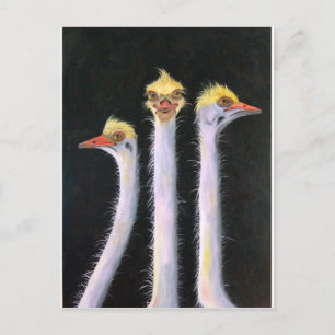 Posers Postcard