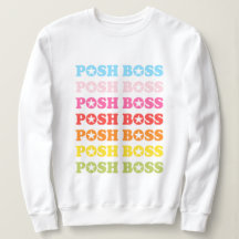 Posh Boss Star Studded Rainbow Sweater