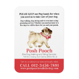 posh pooches walking dog