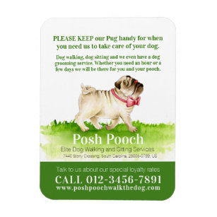 posh pooches walking dog