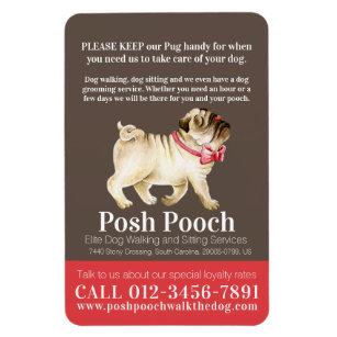posh pooches walking dog