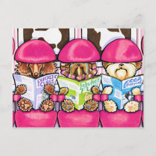 Posh Pup Salon Postcard
