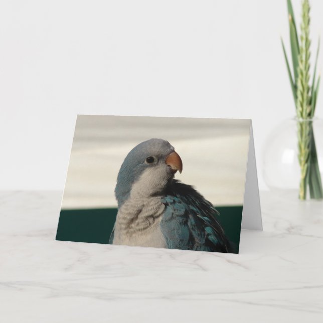 Posing for the Camera Card (Front)