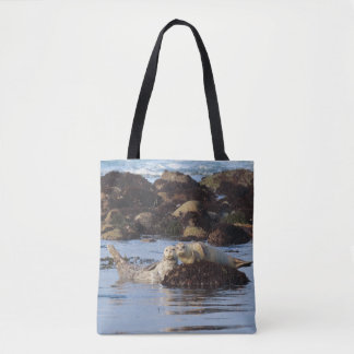 Posing Harbour Seals Tote Bag