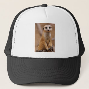Posing Meerkat Trucker Hat