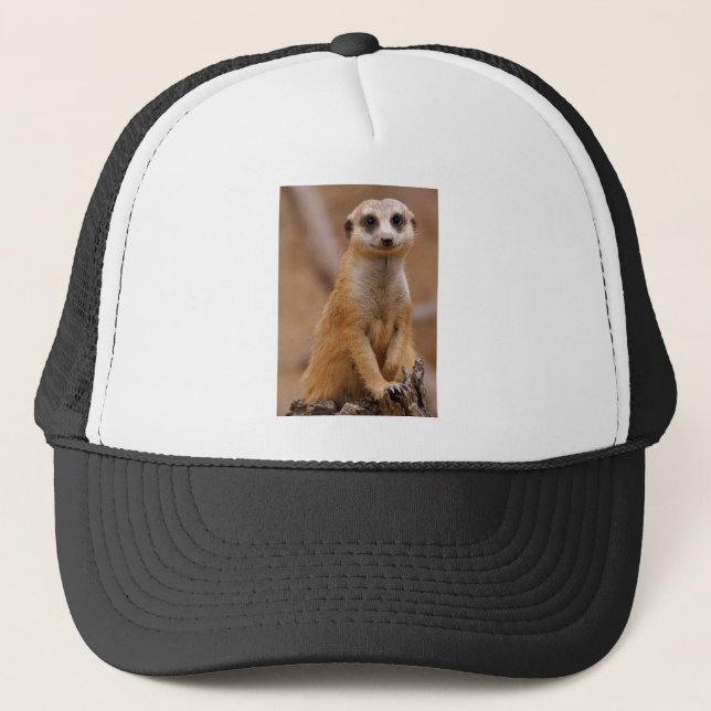Posing Meerkat Trucker Hat (Front)