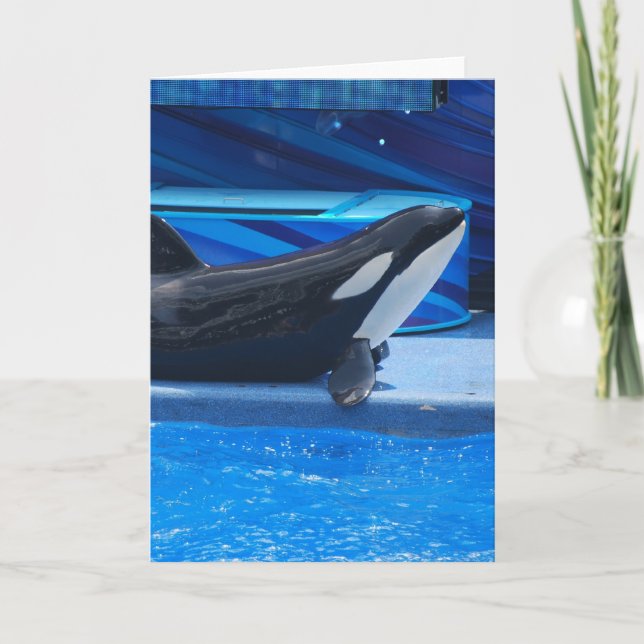 Posing Orca Greeting Card (Front)
