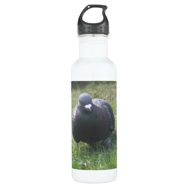 Posing Pigeon 710 Ml Water Bottle (Front)