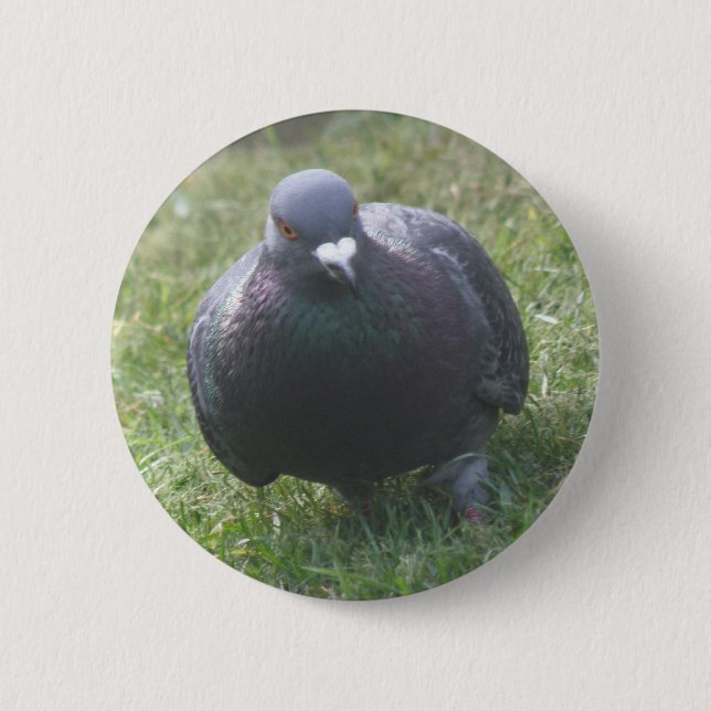 Posing Pigeon Button (Front)