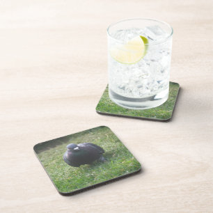 Posing Pigeon Cork Coaster