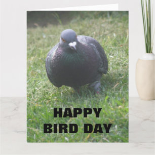 Posing Pigeon Custom Giant Birthday Card