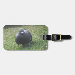 Posing Pigeon Custom Luggage Tag