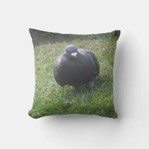 Posing Pigeon Pillow