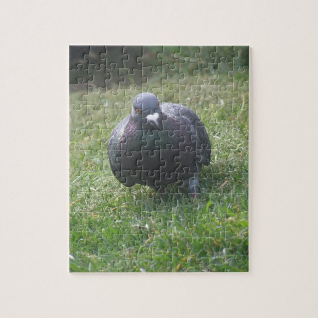 Posing Pigeon Puzzle (Vertical)