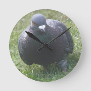 Posing Pigeon Wall Clock