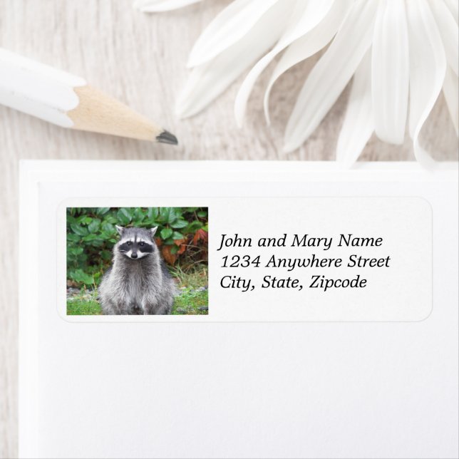 Posing Racoon Wildlife Photo Return Address Label (Insitu)