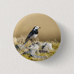 Posing Wagtail 3 Cm Round Badge