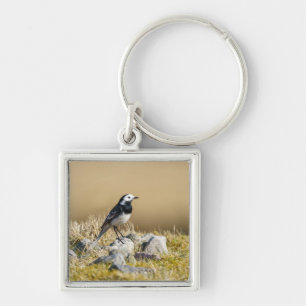 Posing Wagtail Key Ring