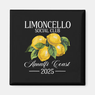 Positano Italy Vacation Limoncello Amalfi Coast Va Magnet