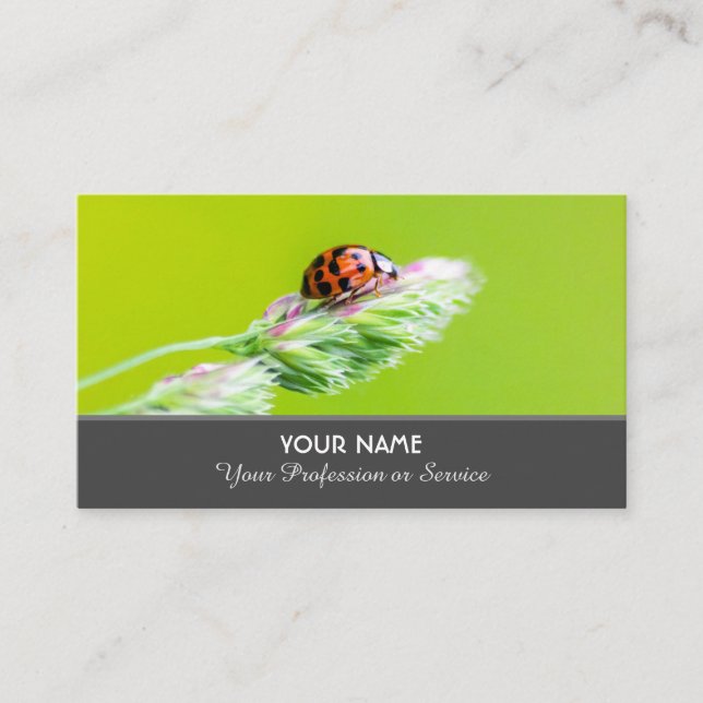 Positive and lucky ladybug for zen and education business card (Front)
