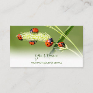 Positive lucky ladybugs for healthy well being bus business card