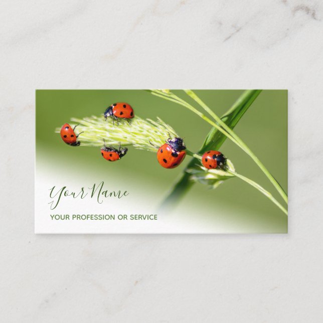 Positive lucky ladybugs for healthy well being business card (Front)