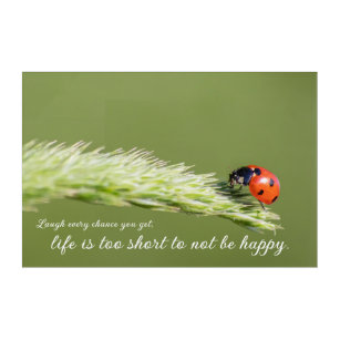Positive mindset and life attitude little ladybug acrylic print