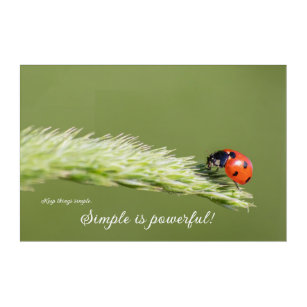Positive motivational quote with little ladybug acrylic print