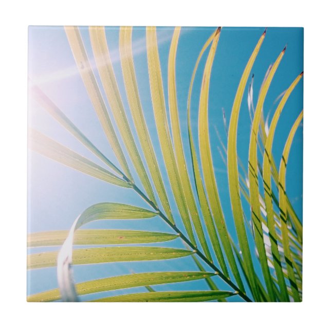 Positive Vibes Palm Tree Sunny Ceramic Tile (Front)