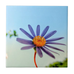 Positive Vibes Wild Soft Blue Flower Ceramic Tile