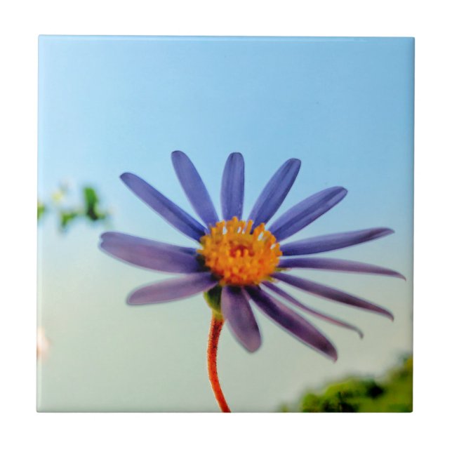 Positive Vibes Wild Soft Blue Flower Ceramic Tile (Front)