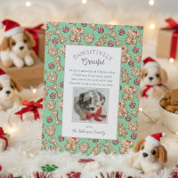 Positively Grateful Puppy 1st Xmas