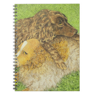 Possession Notebook