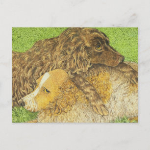 Possession Postcard